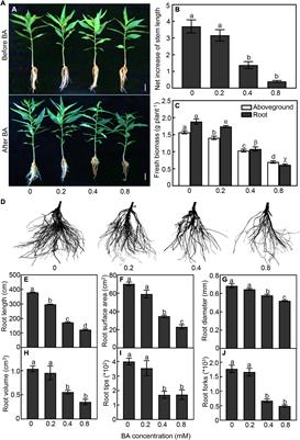 Integrative Physiological, Transcriptional, and Metabolic Analyses Provide Insights Into Response Mechanisms of Prunus persica to Autotoxicity Stress